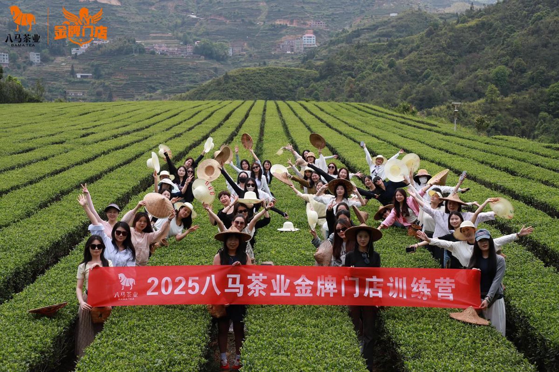 有草茶业